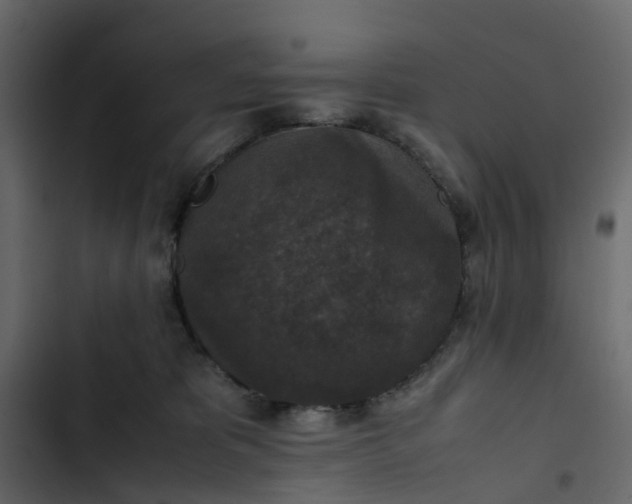 X0000102860325200809021430