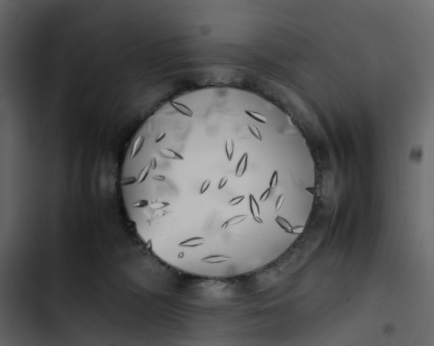 X0000102860326200809021430