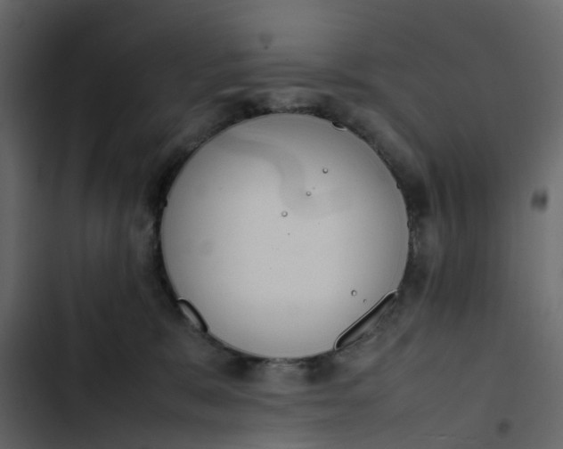 X0000102860327200809021430