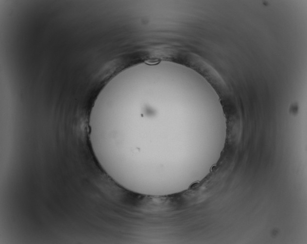 X0000102860329200809021430