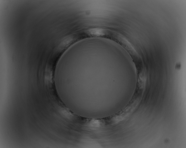 X0000102860330200809021430