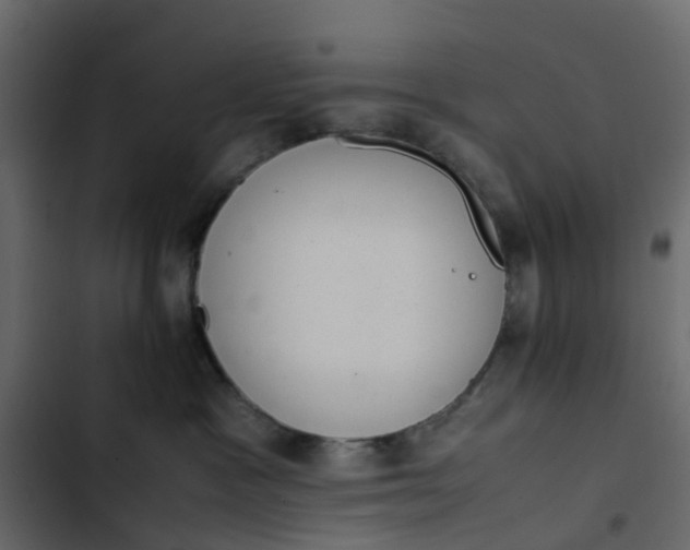 X0000102860333200809021430