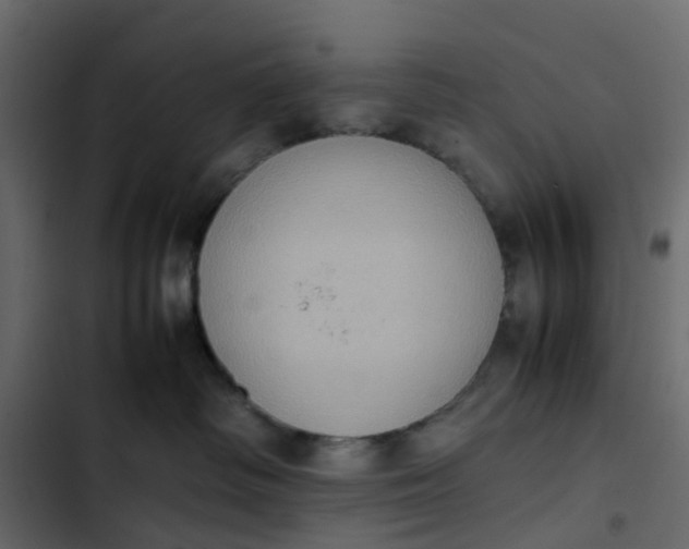 X0000102860334200809021430