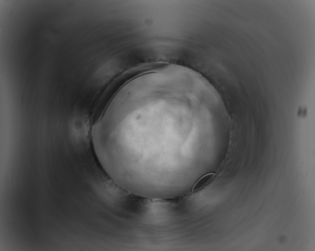 X0000102860336200809021430