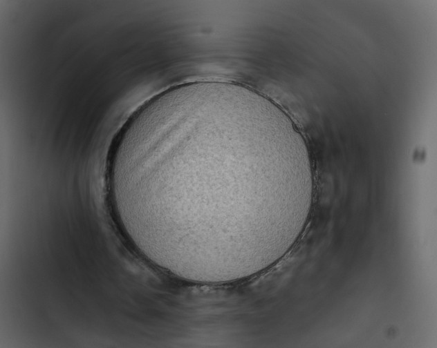 X0000102860338200809021429