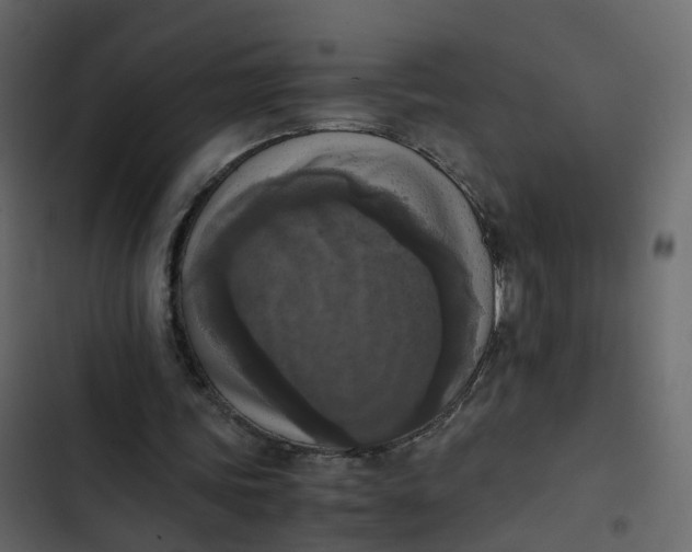 X0000102860339200809021429