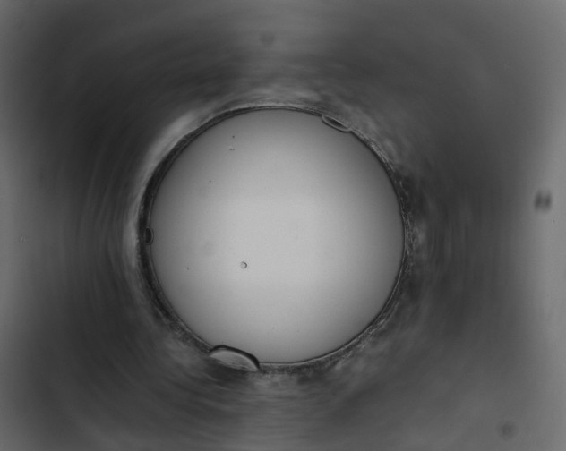 X0000102860340200809021429