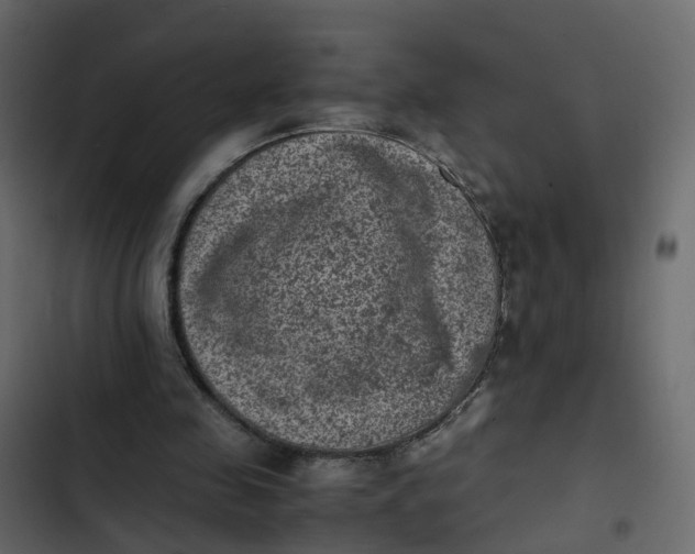 X0000102860341200809021429