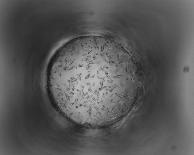 X0000102860342200809021429