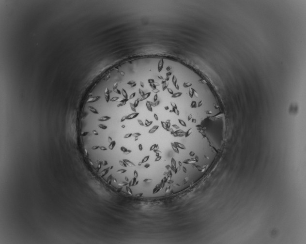 X0000102860345200809021429