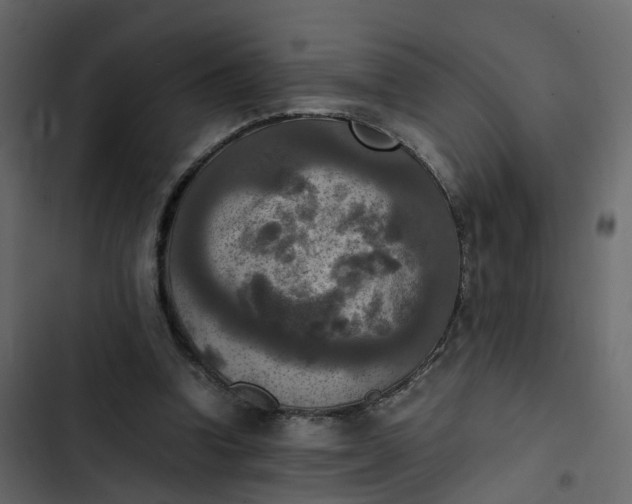 X0000102860346200809021429