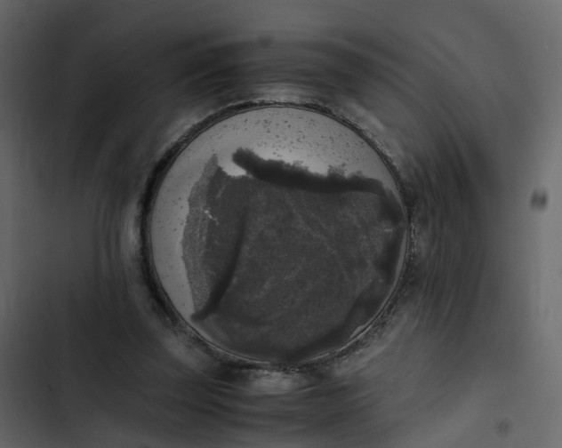 X0000102860347200809021429