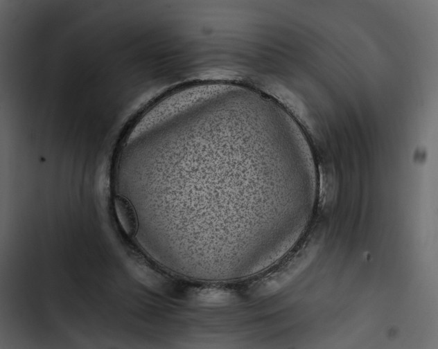 X0000102860348200809021429