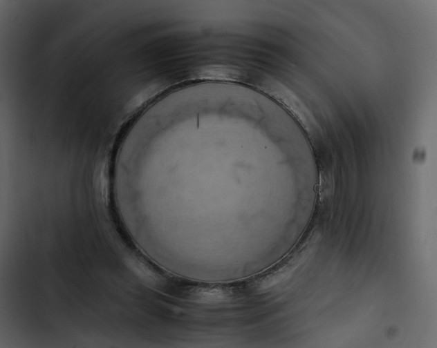 X0000102860349200809021429