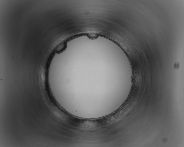 X0000102860350200809021429