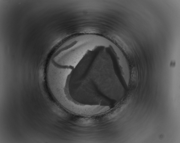 X0000102860351200809021429