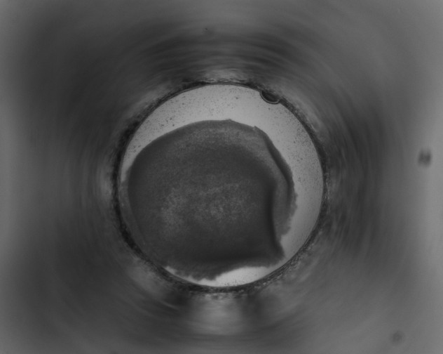 X0000102860353200809021429