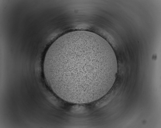 X0000102860354200809021429