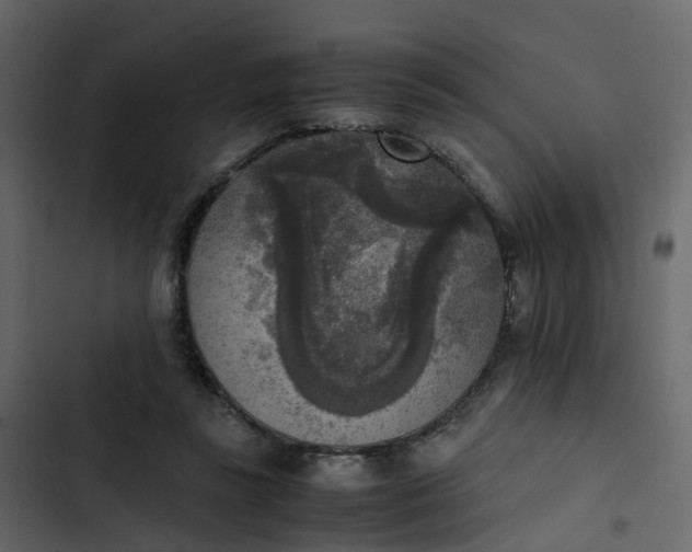 X0000102860355200809021429