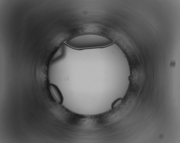 X0000102860356200809021429