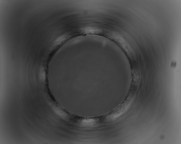 X0000102860357200809021429