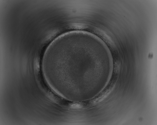 X0000102860358200809021429