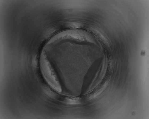 X0000102860359200809021429