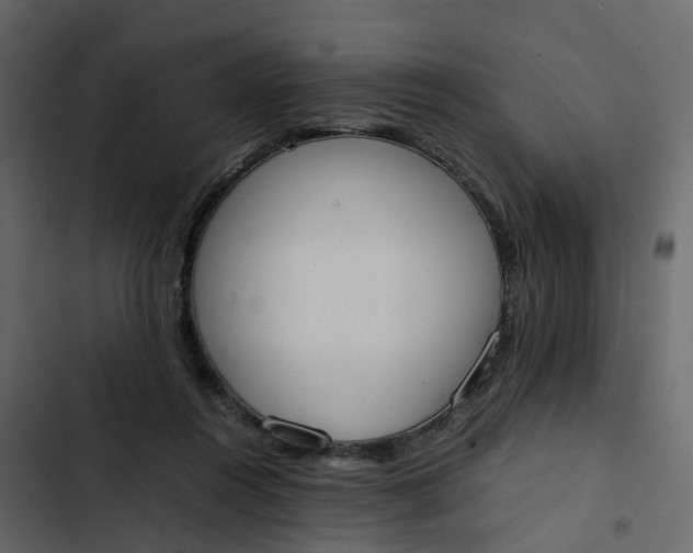 X0000102860360200809021429