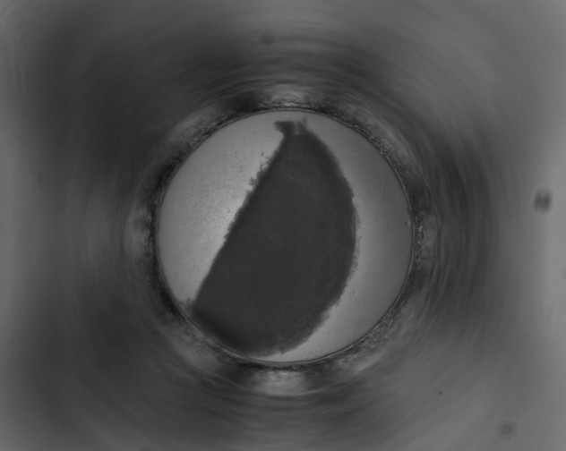 X0000102860361200809021429