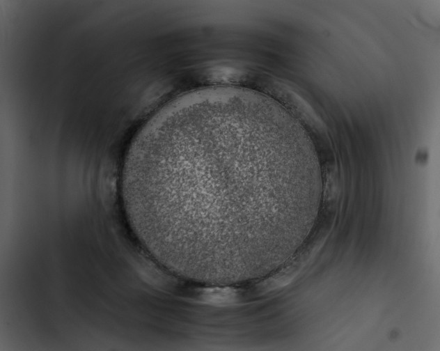 X0000102860363200809021430