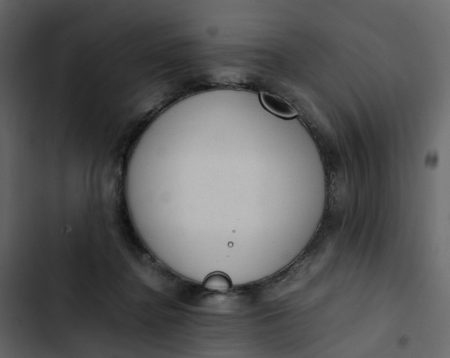 X0000102860364200809021430