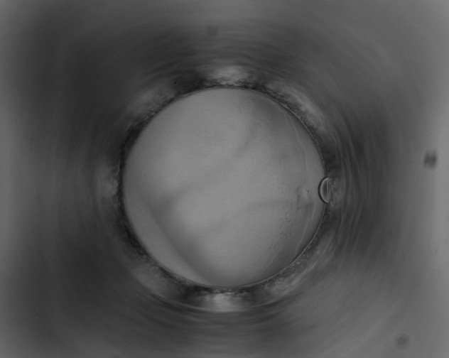 X0000102860365200809021430