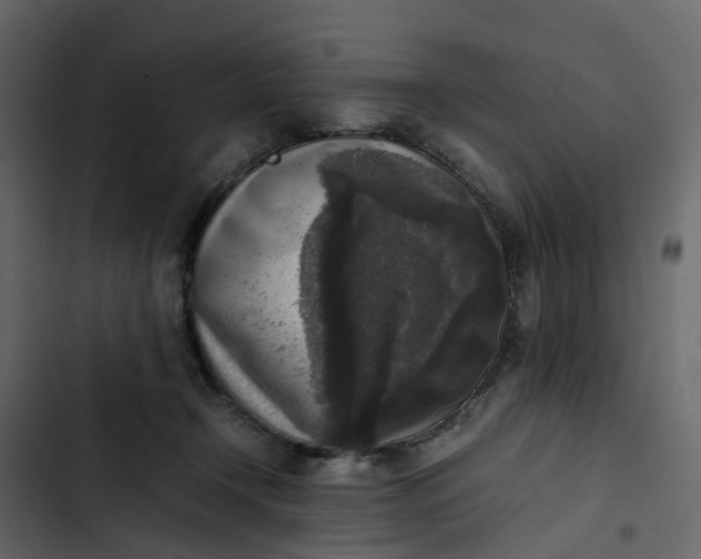 X0000102860366200809021430