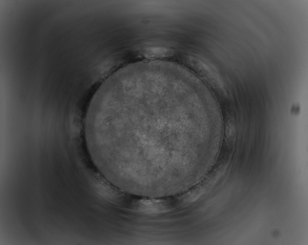 X0000102860367200809021430