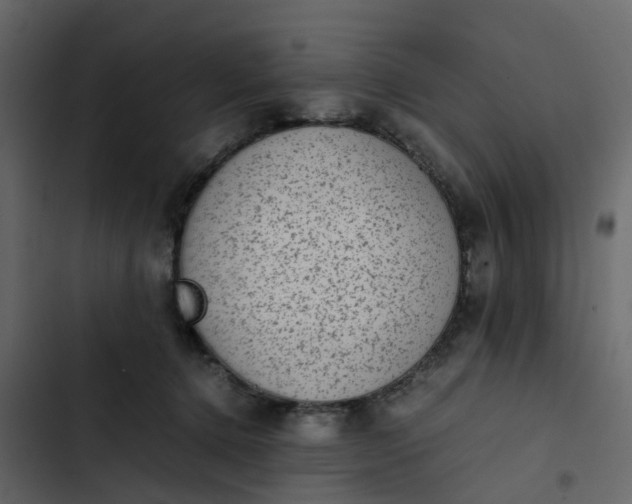 X0000102860368200809021430