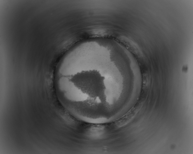 X0000102860369200809021430