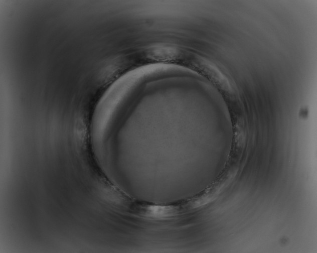 X0000102860371200809021430