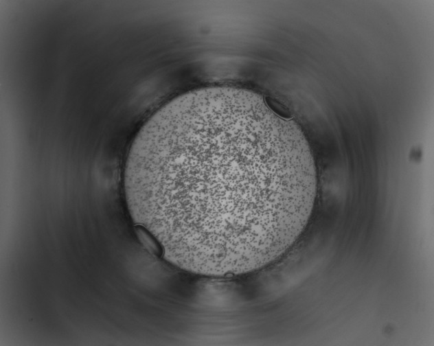 X0000102860372200809021430