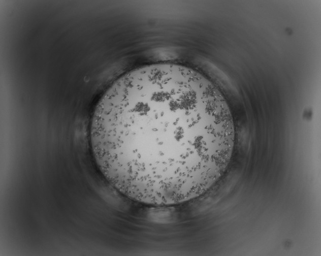 X0000102860373200809021430