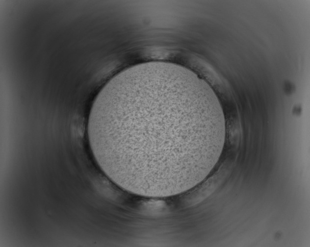 X0000102860374200809021430