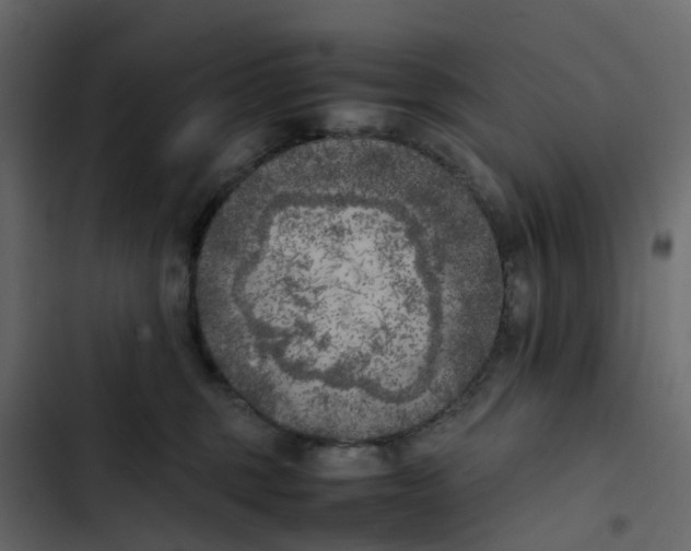 X0000102860375200809021430