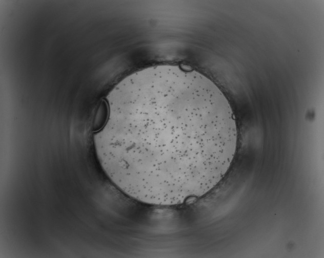 X0000102860376200809021430