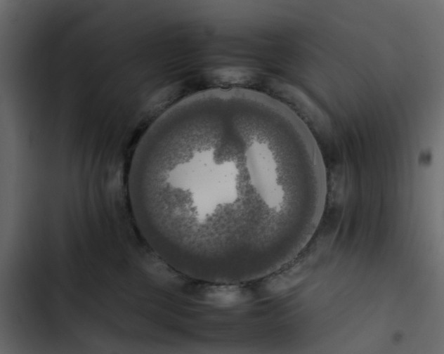 X0000102860377200809021430