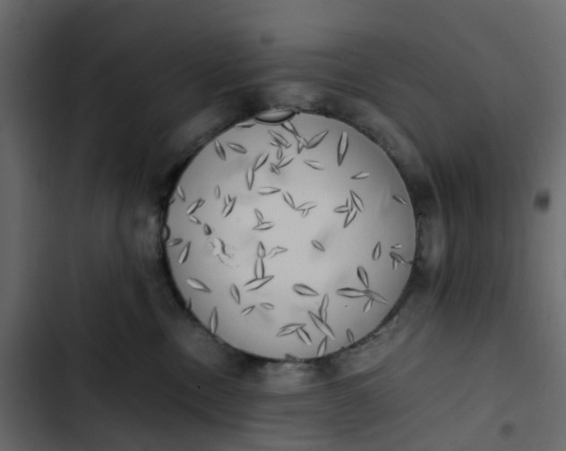 X0000102860378200809021430