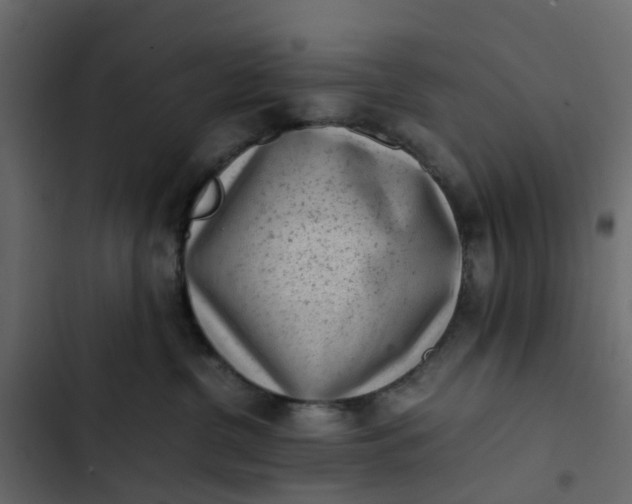 X0000102860380200809021430