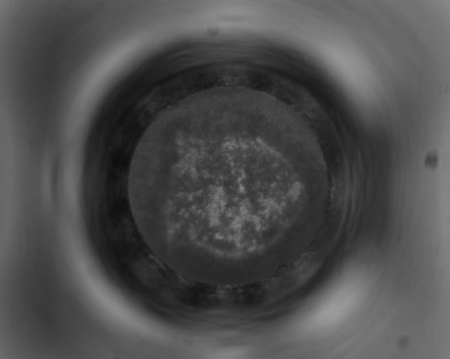 X0000102860383200809021430