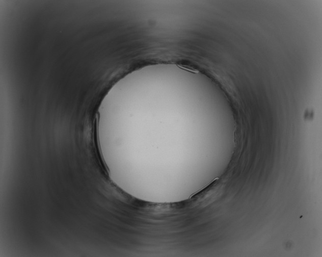 X0000102860384200809021430