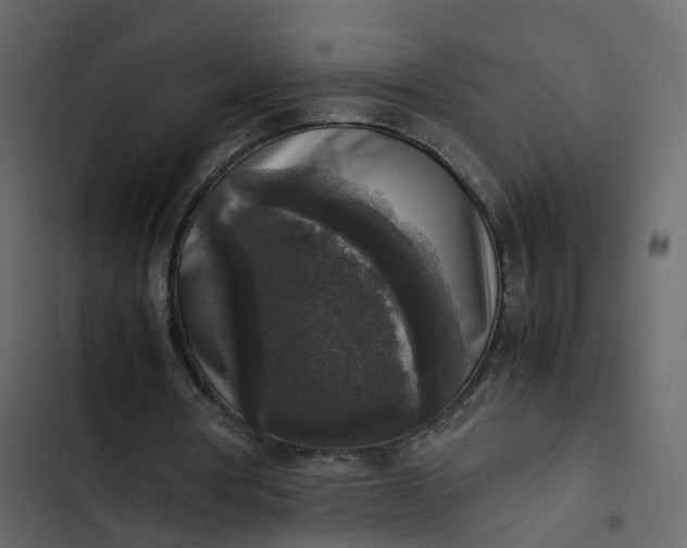 X0000102860386200809021429