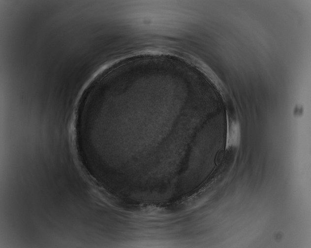 X0000102860387200809021429