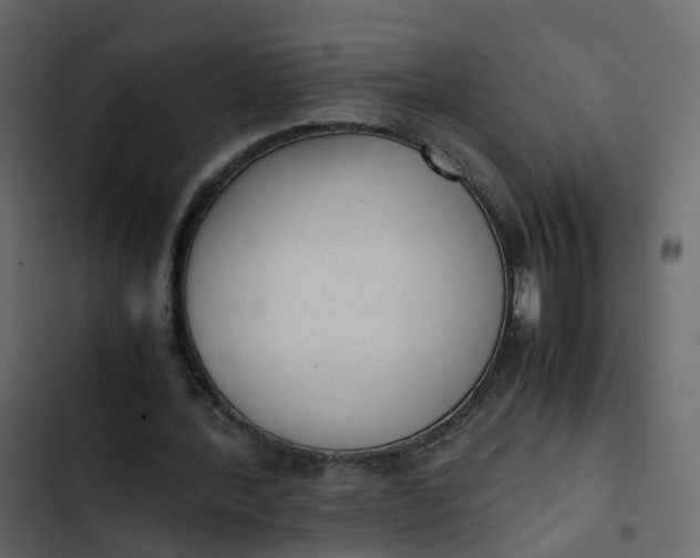 X0000102860388200809021429